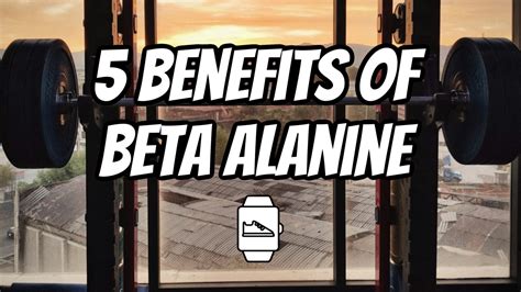 beta alanine benefits|5 Benefits of Beta.